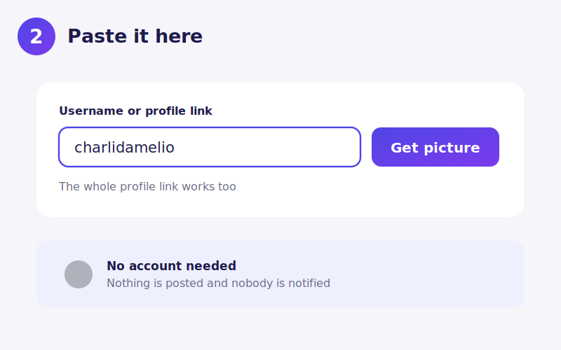 Un nom d'utilisateur TikTok saisi dans le champ de dpdownloader à côté du bouton de recherche